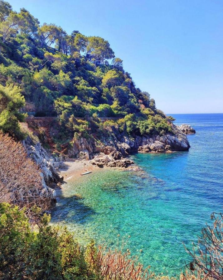 Great And Light Private In The Heart Of * Nizza